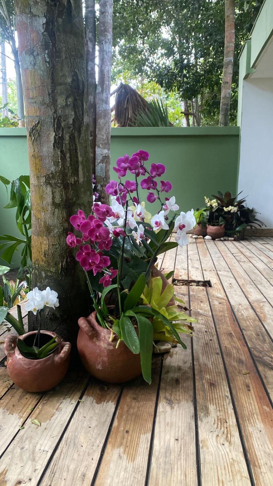 Jardim Secreto Spa Boutique Hotel 4*