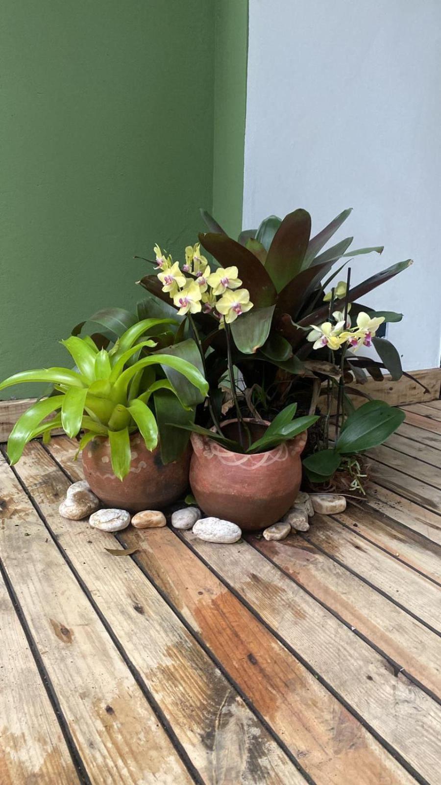 Jardim Secreto Spa Boutique